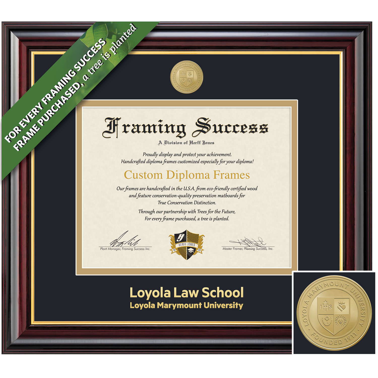 Framing Success 11 x 14 Windsor Gold Medallion Law Diploma Frame