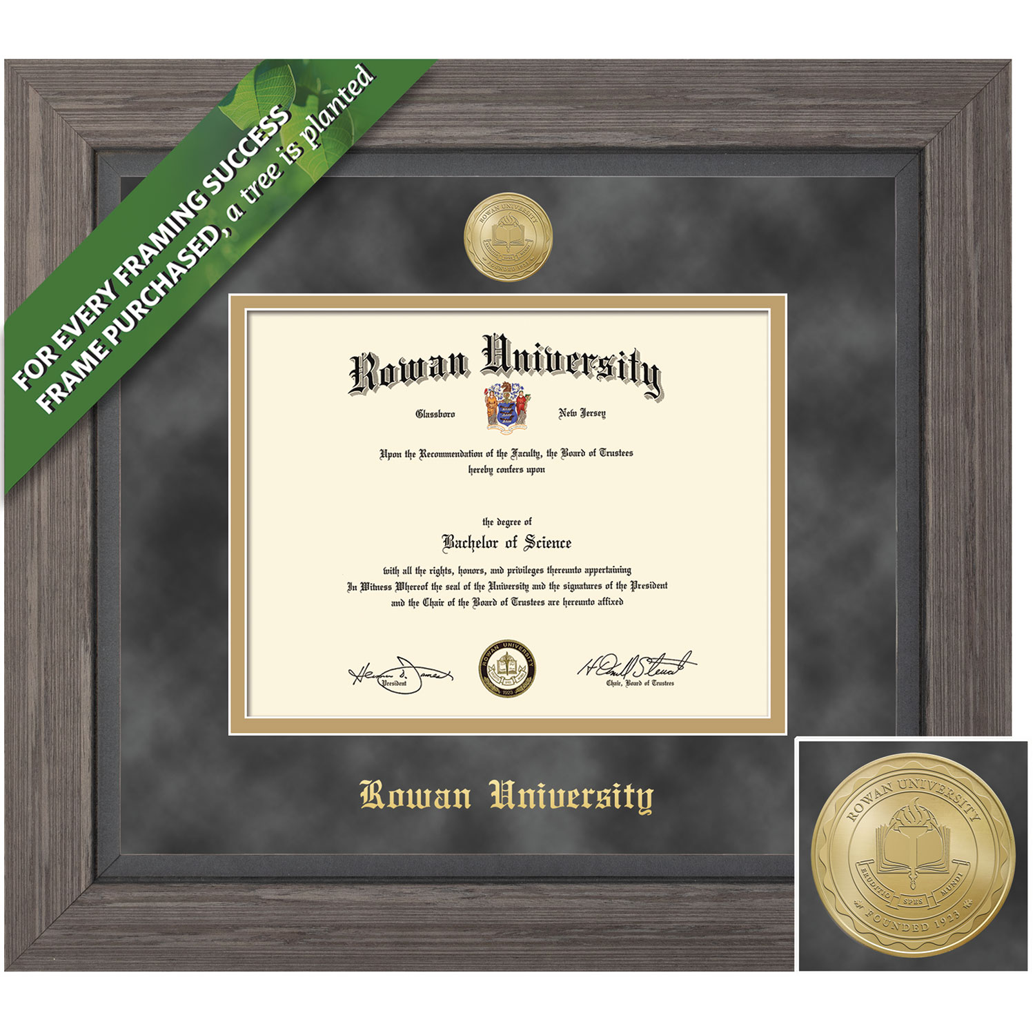 Framing Success 12 x 18 Greystone Gold Medallion Medical Diploma Frame