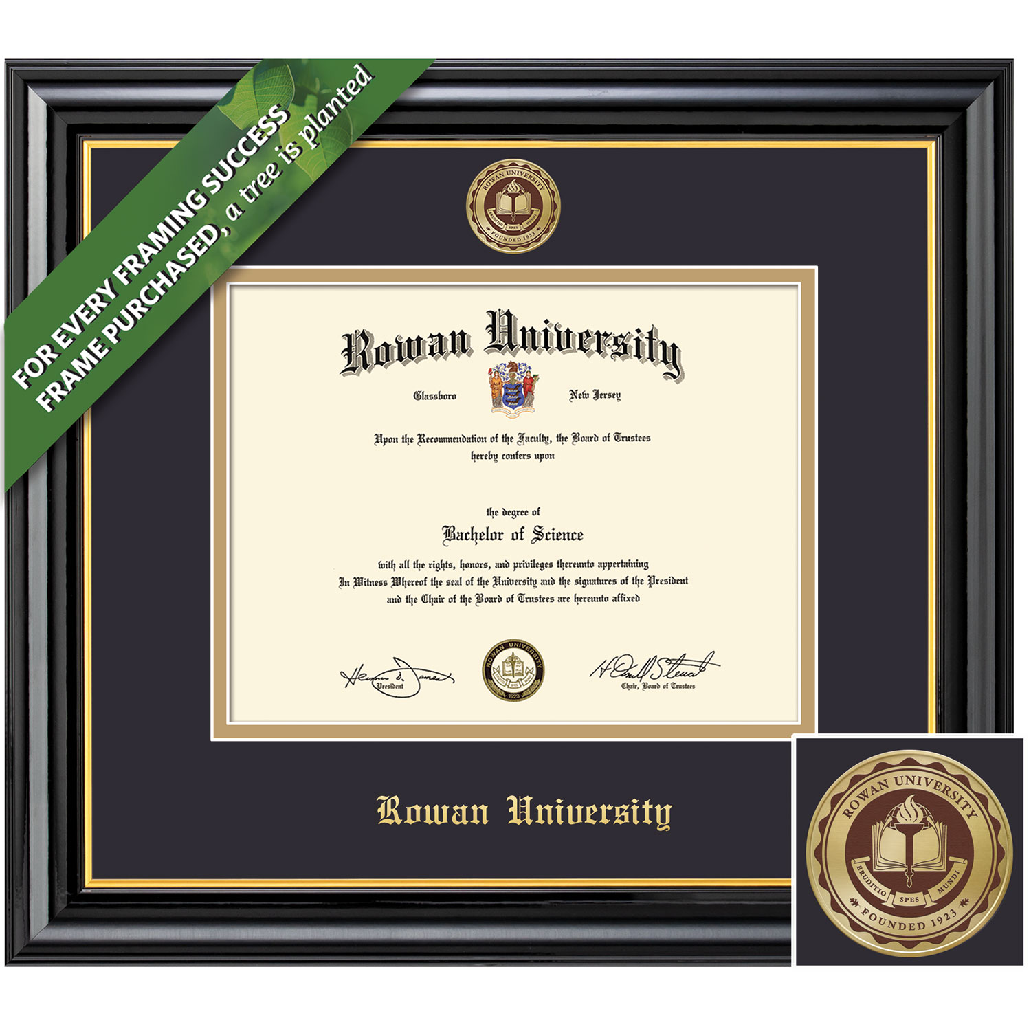 Framing Success 8.5 x 11 Coronado Color Enamel Custom Minted Medallion Bachelors, Masters Diploma Frame