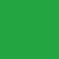 Winsor & Newton Winton Oil Color, 37ml, Permanent Green Light
