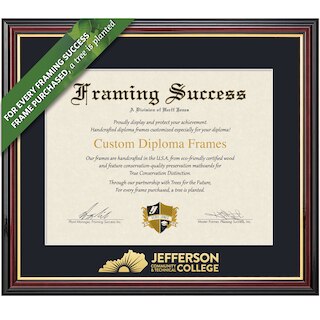 Image 1: Framing Success 8.5 x 11 Academic Gold Embossed School Name Associates Diploma Frame