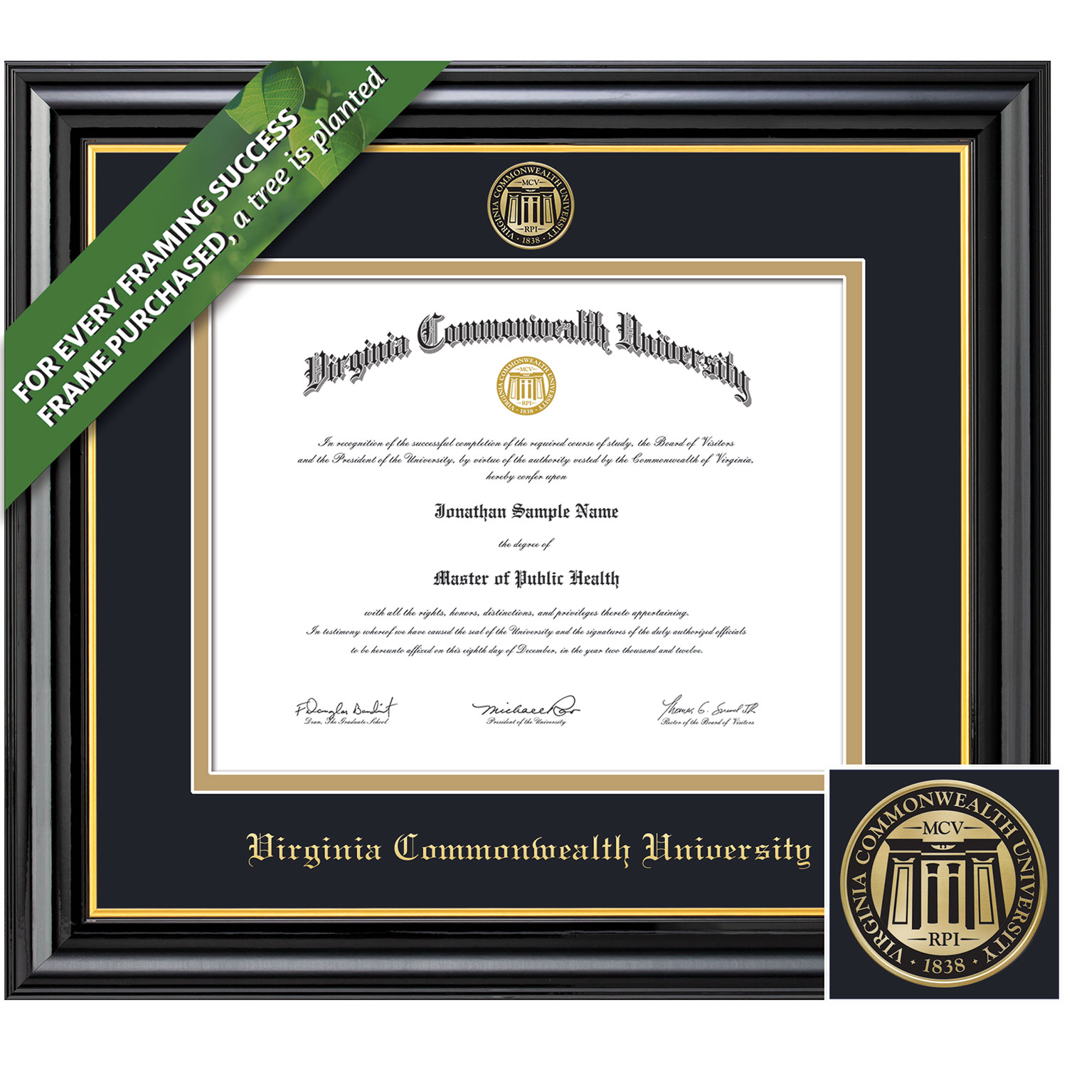 Framing Success 11 x 24 Coronado Colored Medallion Bachelors, Masters Diploma Frame