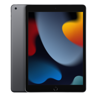10.2-inch iPad Wi-Fi 256GB - Space Gray