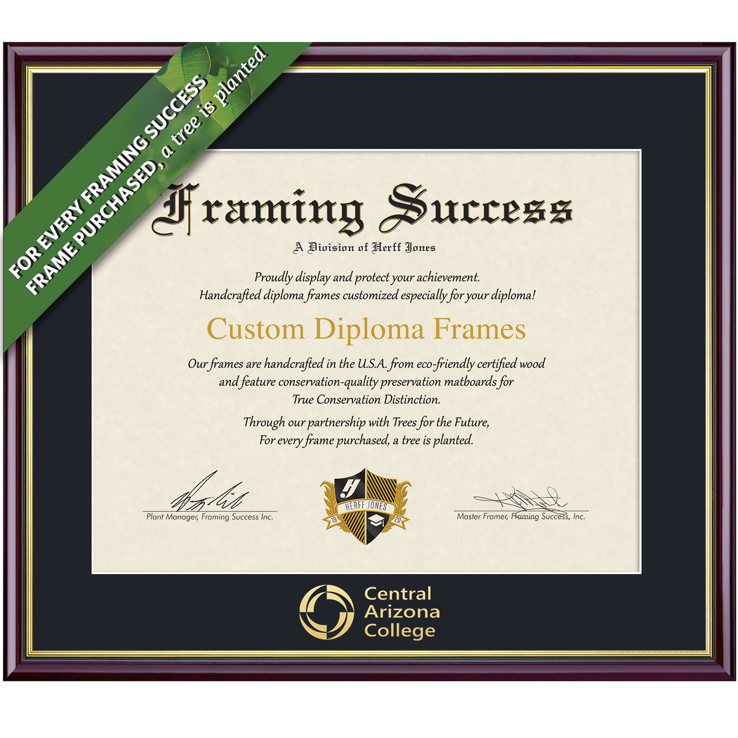 Framing Success 7 x 9 Academic Gold Embossed School Name Associates Diploma Frame