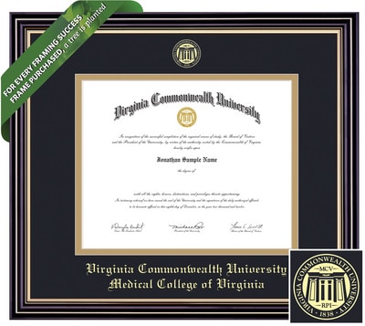 Framing Success 8.5 x 11 Prestige Gold Embossed School Seal DDS Diploma Frame