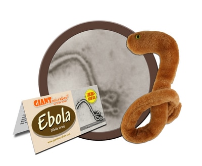 Ebola