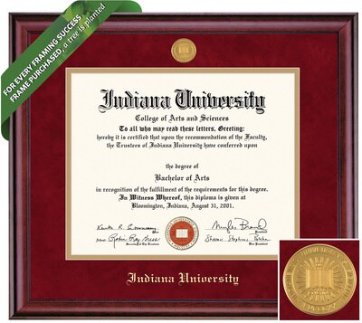 Framing Success 8.5 x 11 Classic Gold Medallion Bachelors, Masters Diploma Frame
