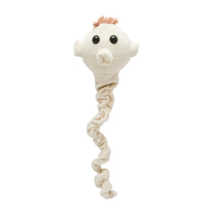 Tapeworm Giant Microbe