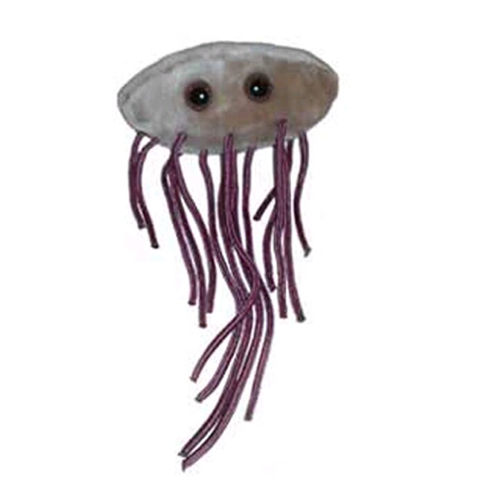 E.Coli