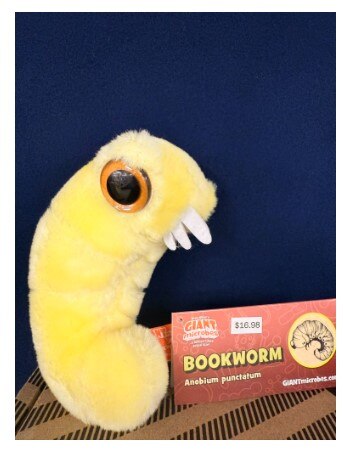 Bookworm