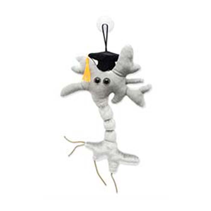 Graduation Brain Cell