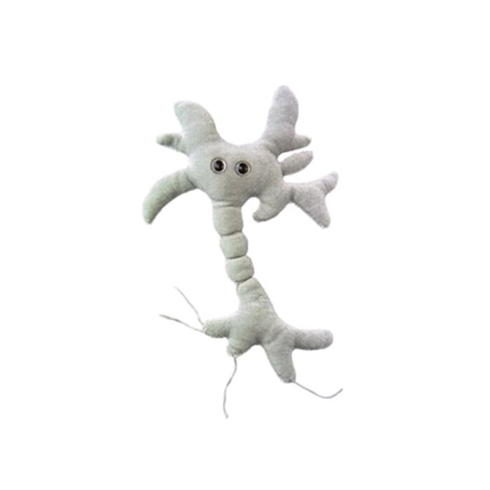 Brain Cell