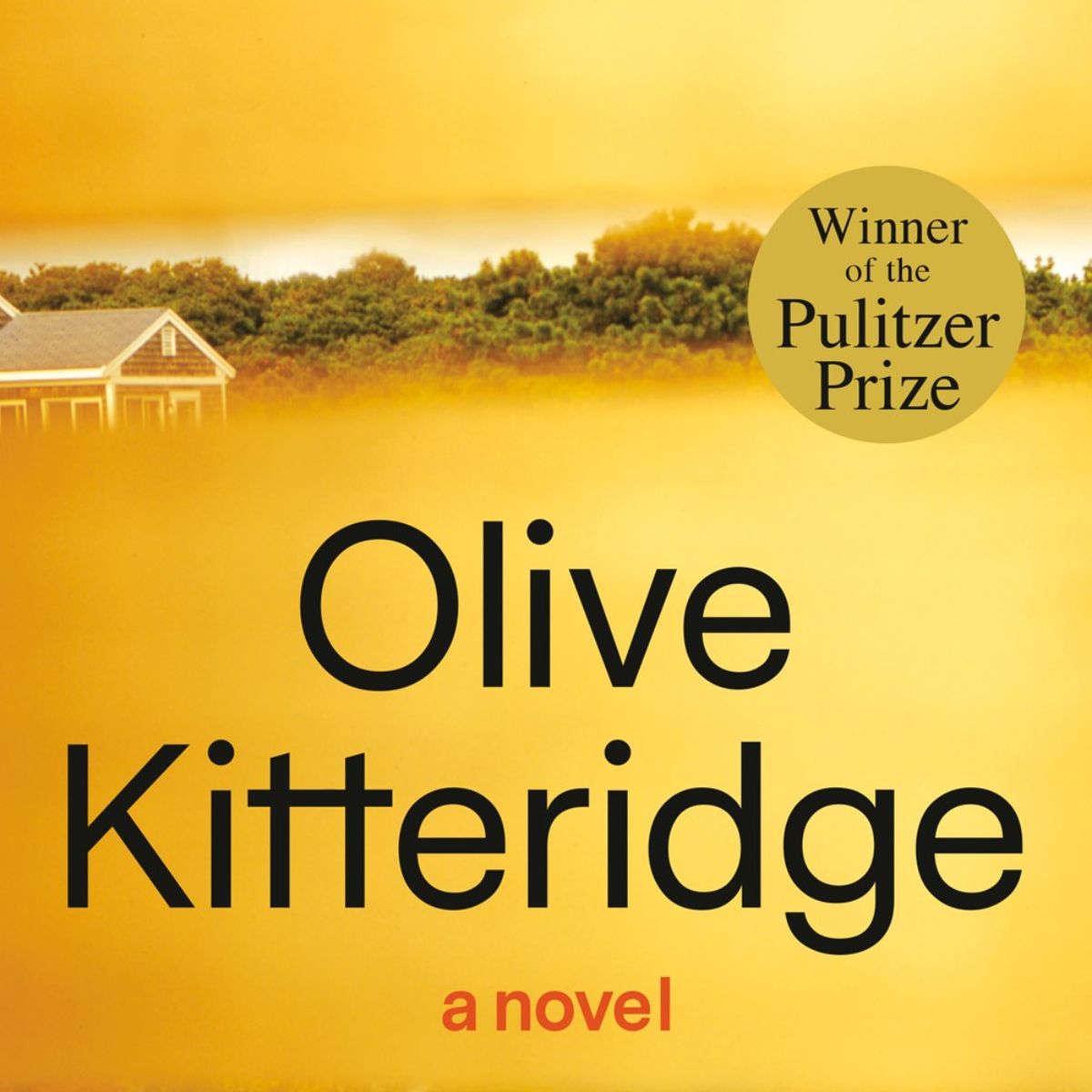 Olive Kitteridge