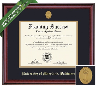 Framing Success 11 x 14 Classic Gold Medallion Bachelors, Masters, PhD (5/17 to Present) Diploma Frame