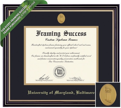 Framing Success 11 x 14 Prestige Gold Medallion Bachelors, Masters, PhD (5/17 to Present) Diploma Frame