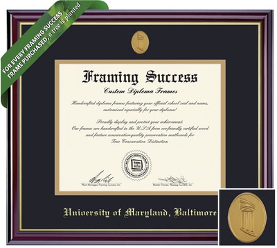 Framing Success 11 x 14 Windsor Gold Medallion Bachelors, Masters, PhD (5/17 to Present) Diploma Frame