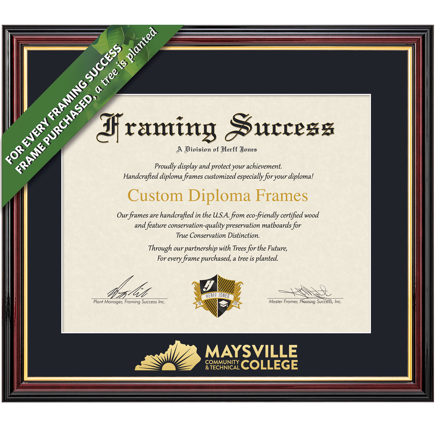 Framing Success 8.5 x 11 Academic Gold Embossed School Name Associates Diploma Frame