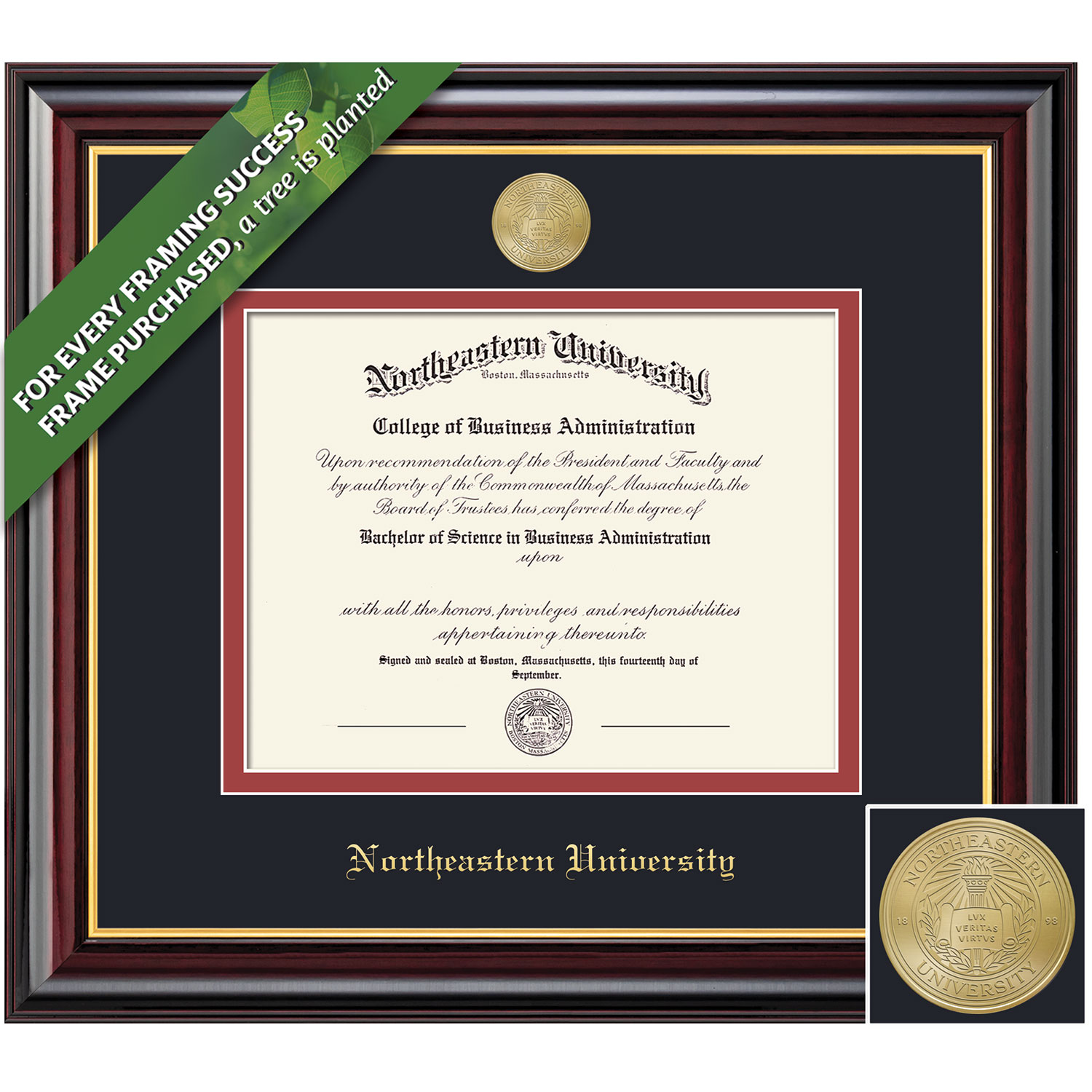 Framing Success Classic Diploma Frame. Bachelors, Masters, PhD