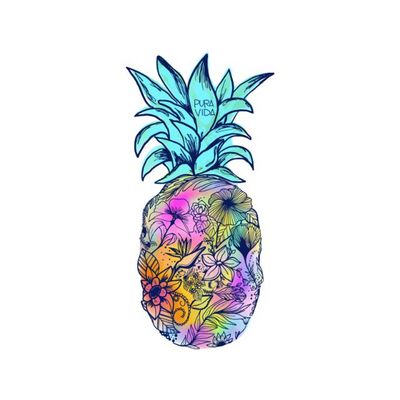 Floral Pineapple Stickers