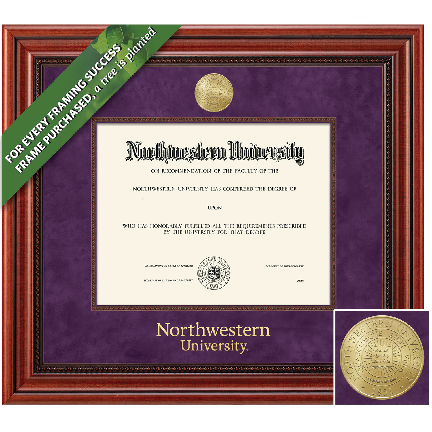 Framing Success 8.5 x 11 Millennium Gold Medallion Bachelors, Masters Diploma Frame