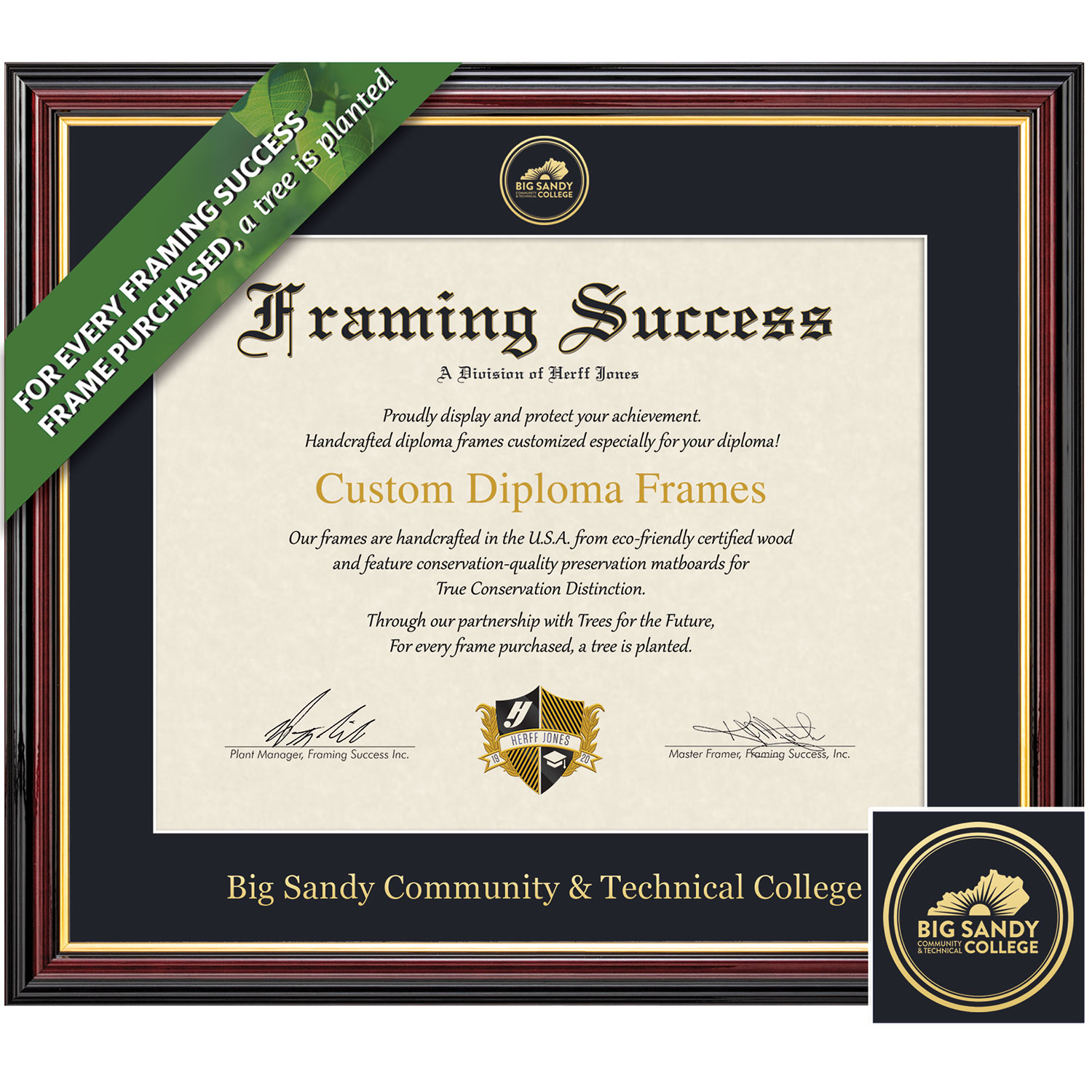 Framing Success 8.5 x 11 Academic Gold Emb School Seal Associates Diploma Frame