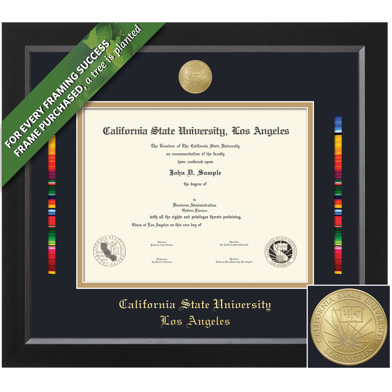 Framing Success 8.5 x 11 Spirit Gold Medallion Bachelors Masters Diploma/Serape Ribbon Frame