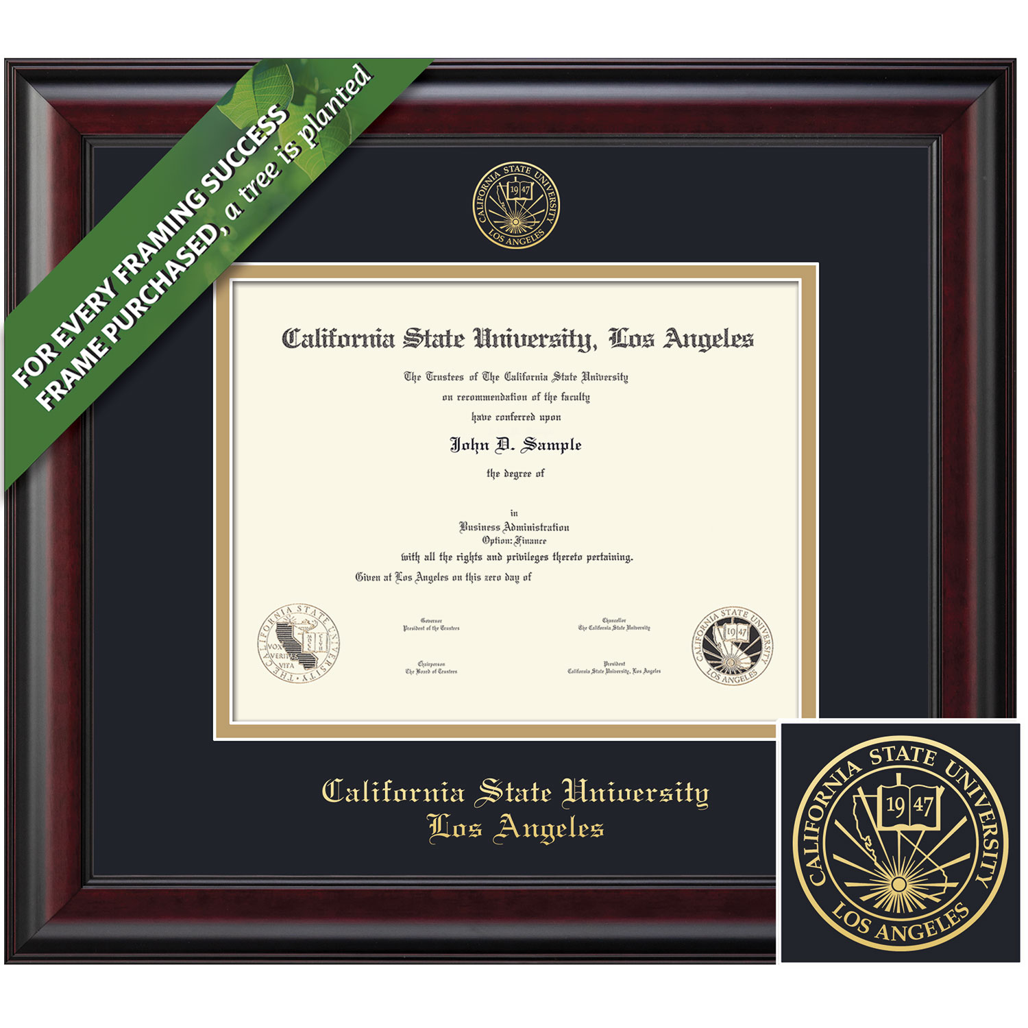 Framing Success 8.5 x 11 Classic Gold Embossed School Seal Bachelors, Masters, PhD Diploma Frame