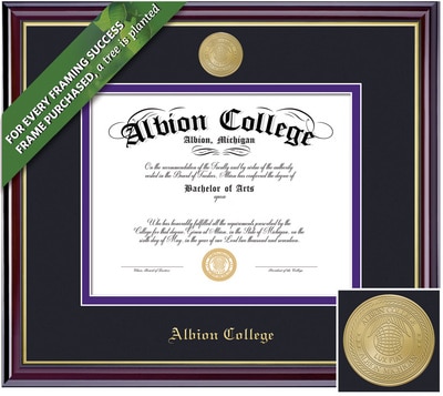 Framing Success 11 x 14 Windsor Gold Medallion Bachelors Diploma Frame