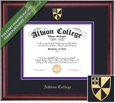 Framing Success 11 x 14 Classic Gold Embossed School Seal Bachelors Diploma Frame