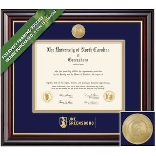 Framing Success 11 x 14 Windsor Gold Medallion Masters Diploma Frame