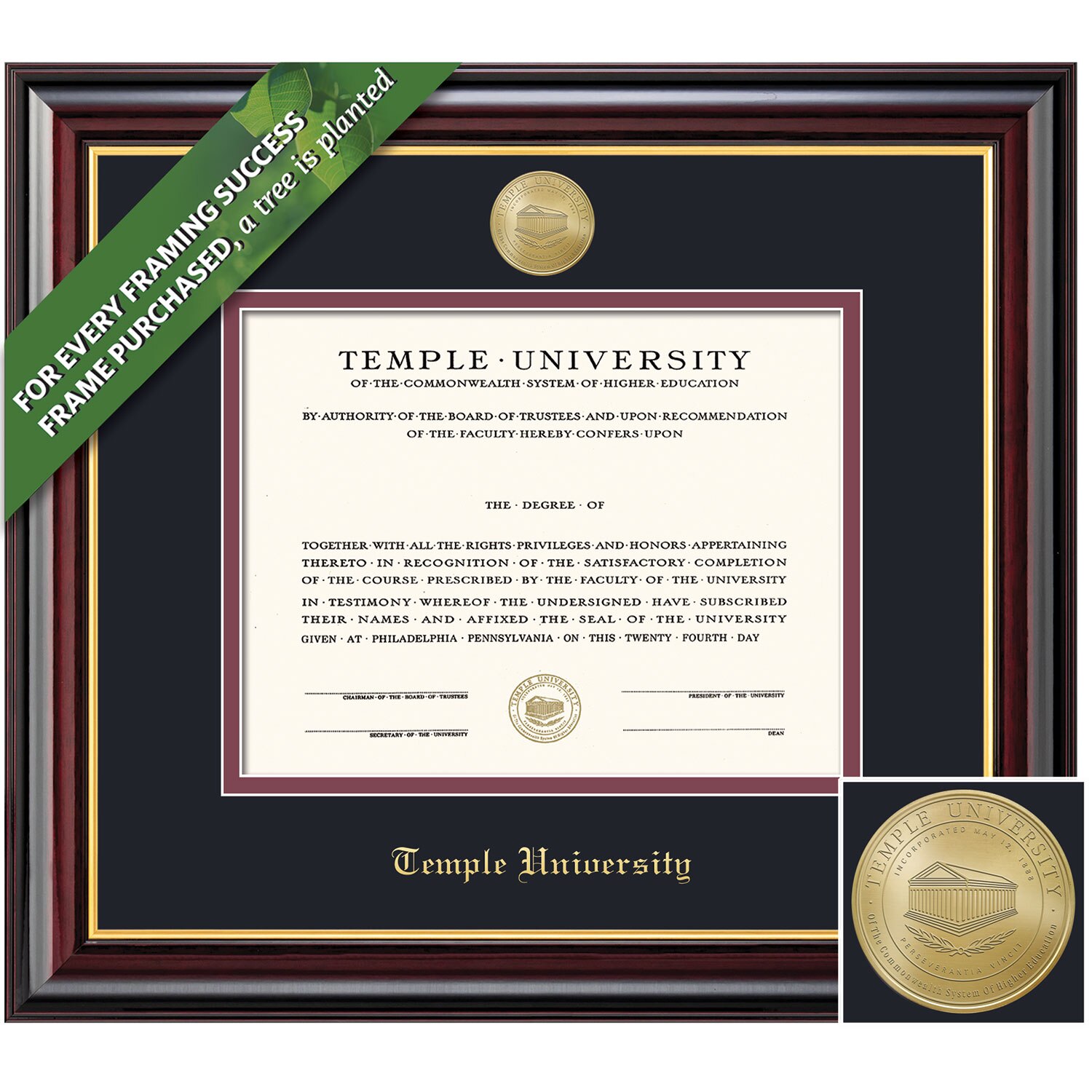 Framing Success 11 x 14 Windsor Gold Medallion Bachelors, Masters, PhD Diploma Frame