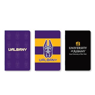 Set of 3 School Spirit Pocket Sized Mini Notebooks