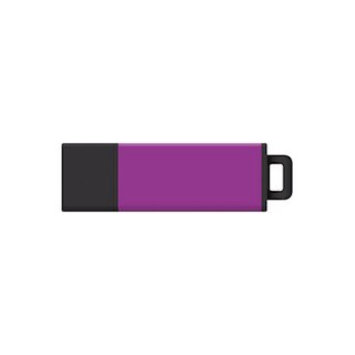 USB 2.0 Datastick Pro2
