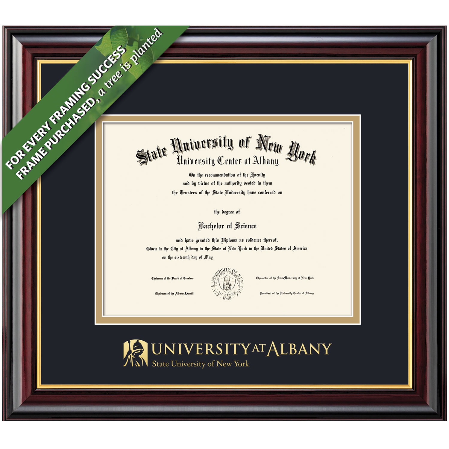 Framing Success 8.5 x 11 Windsor Gold Embossed School Seal Bachelors, Masters Diploma Frame