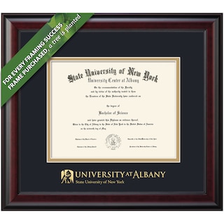 Framing Success 8.5 x 11 Classic Gold Embossed School Seal Bachelors, Masters Diploma Frame