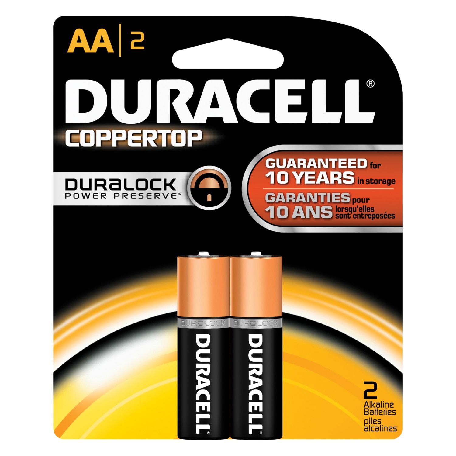 2PK AA Copper Batteries