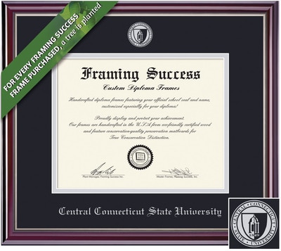 Framing Success 8 x 10 Jefferson Silver Embossed School Seal Bachelors, Masters Diploma Frame