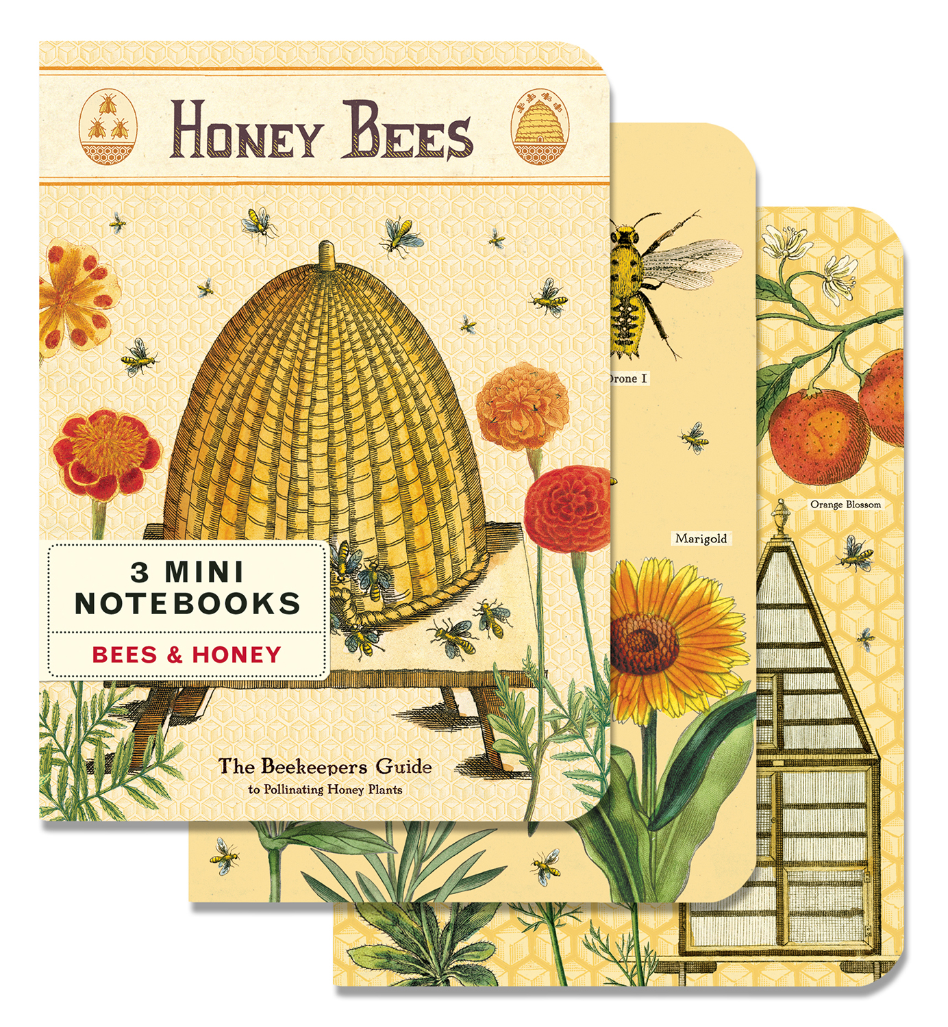 Bees  Mini Notebooks