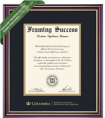 Framing Success 14 x 11 Windsor Gold Embossed School Seal Physicians & Surgeons Diploma Frame
