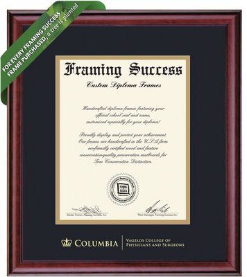 Framing Success 14 x 11 Classic Gold Embossed School Seal Physicians & Surgeons Diploma Frame