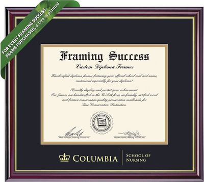 Framing Success 10.5 x 12.5 Windsor Gold Embossed School Seal Nursing Diploma Frame