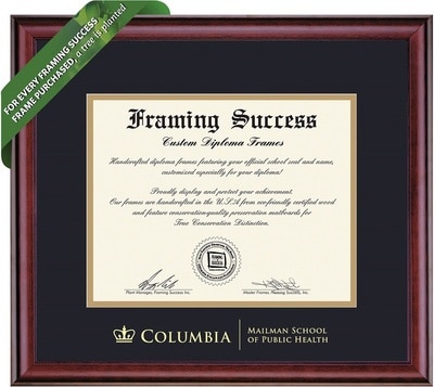 Framing Success 10.5 x 12.5 Classic Gold Embossed School Seal Bachelors, Masters Diploma Frame