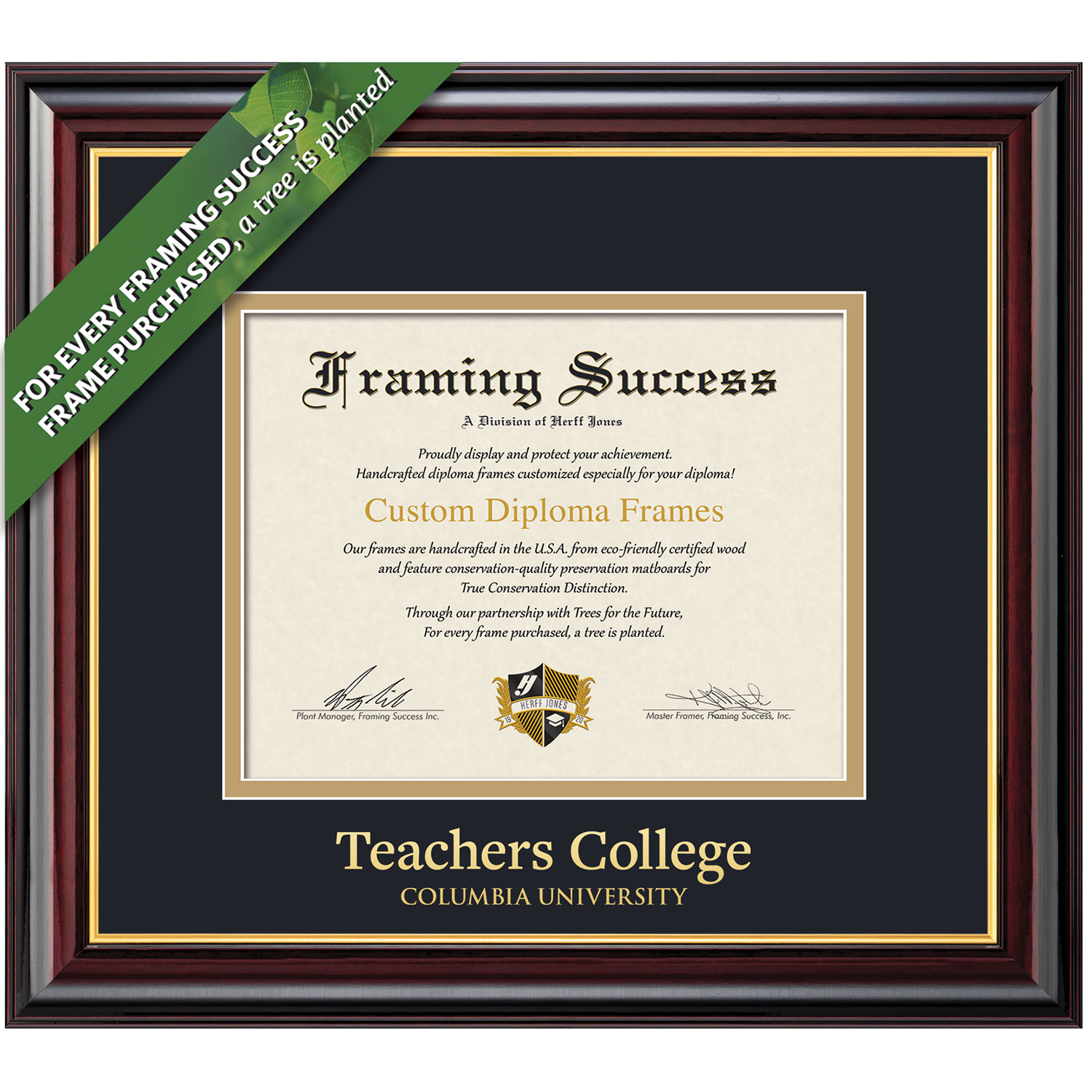 Framing Success 10.5 x 12.5 Windsor Gold Embossed School Name Teachers Diploma Frame