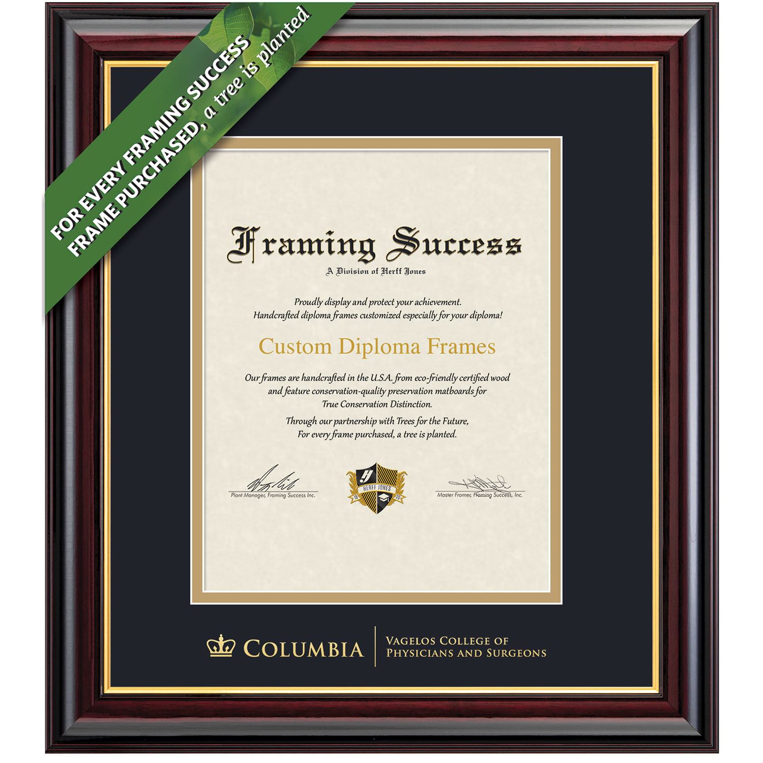 Framing Success 14 x 11 Windsor Gold Embossed School Seal Physicians & Surgeons Diploma Frame