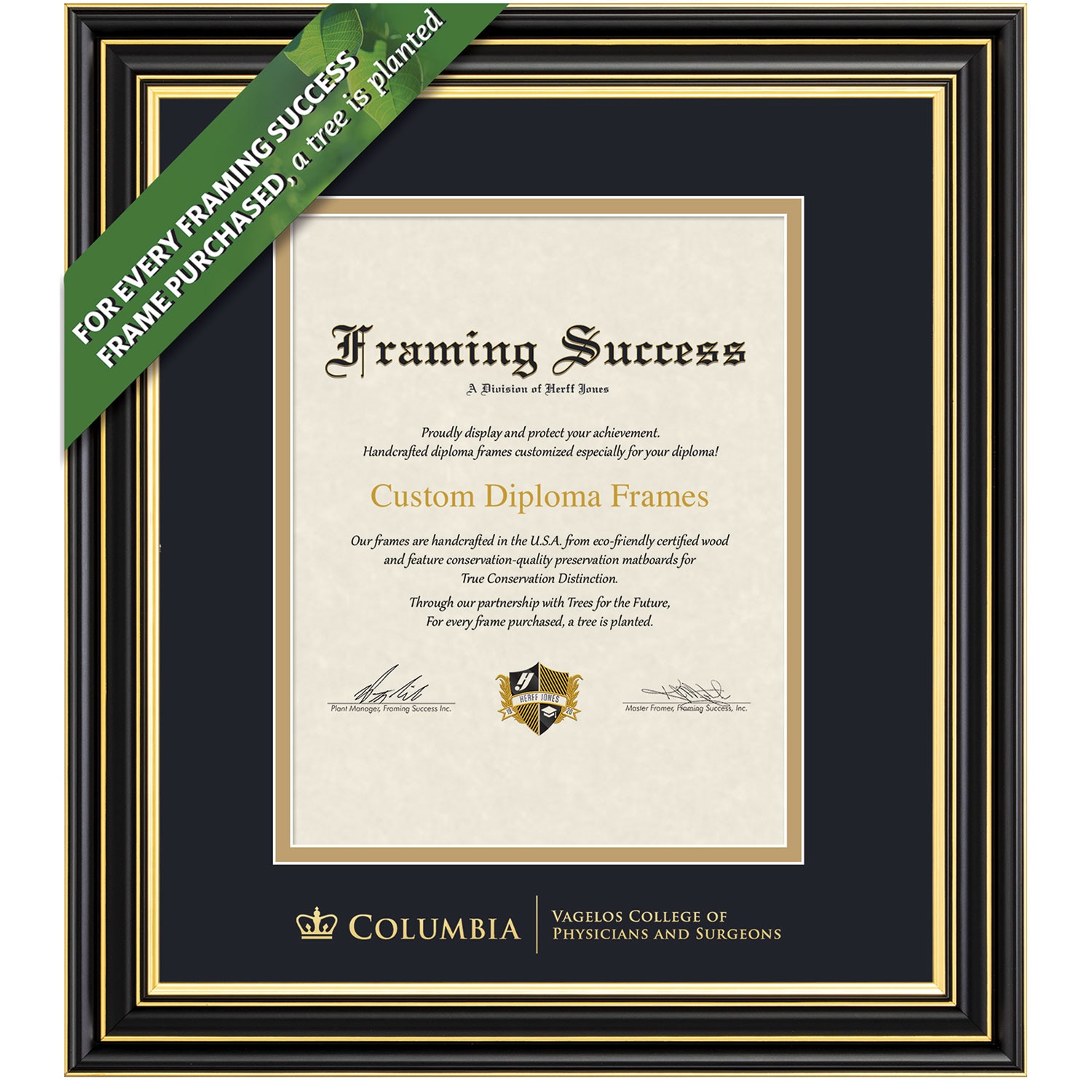 Framing Success 14 x 11 Prestige Gold Embossed School Seal Physicians & Surgeons Diploma Frame