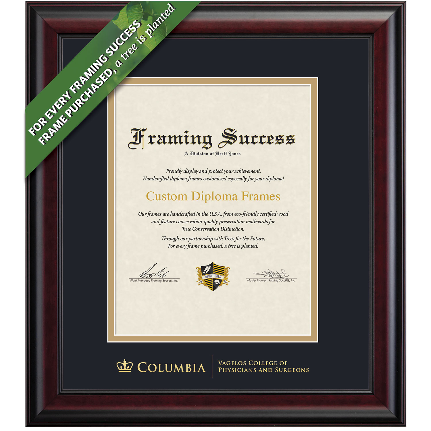 Framing Success 14 x 11 Classic Gold Embossed School Seal Physicians & Surgeons Diploma Frame