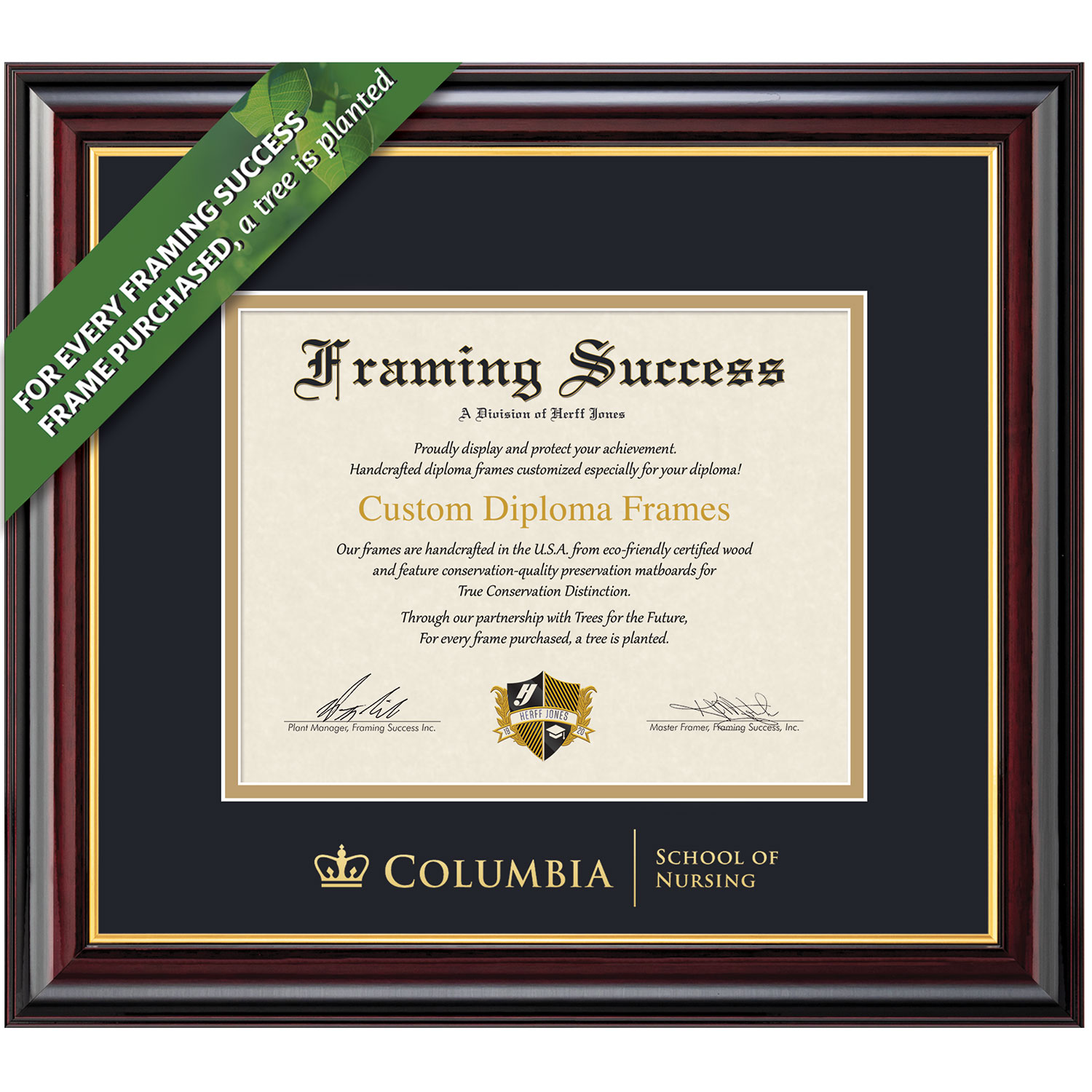 Framing Success 10.5 x 12.5 Windsor Gold Embossed School Seal Nursing Diploma Frame