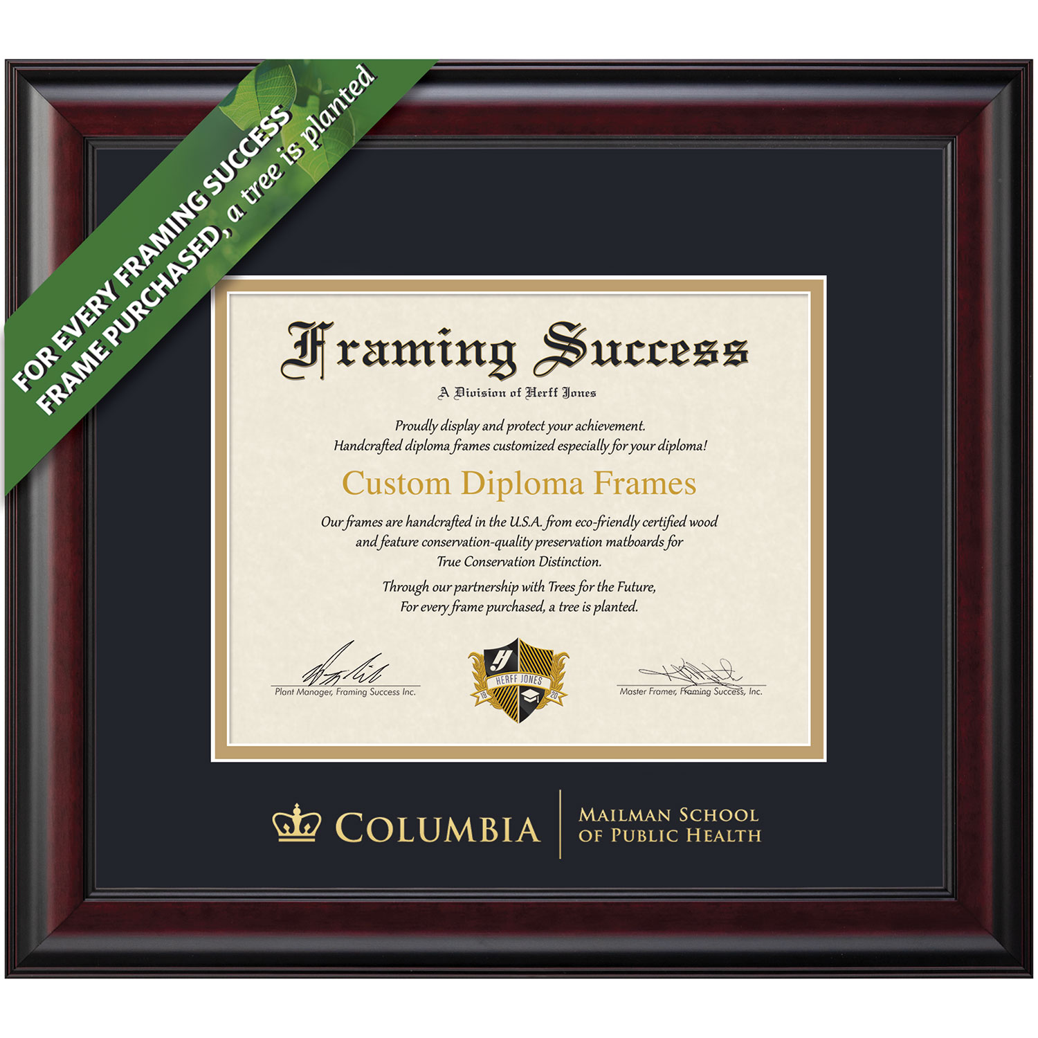 Framing Success 10.5 x 12.5 Classic Gold Embossed School Seal Bachelors, Masters Diploma Frame