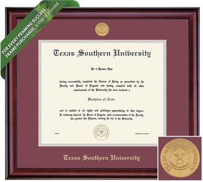 Framing Success 8.5 x 11 Classic Gold Medallion Bachelors, Masters Diploma Frame