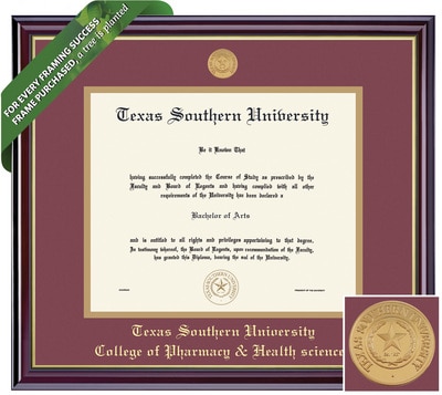 Framing Success 12 x 17 Windsor Gold Medallion Bachelors, Masters, Doctorate Diploma Frame